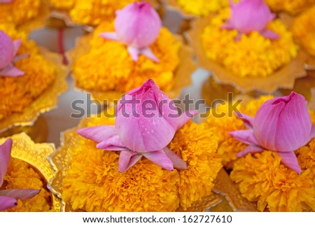 Row of lotus and yellow flower garlands on tray with pedestal in thai temple,Thailand. 