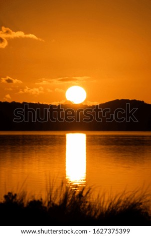 Portrait view of the orange sun setting over the water