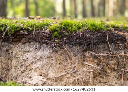 detail of a podzol soil with visible topsoil and eluvial layers Royalty-Free Stock Photo #1627402531