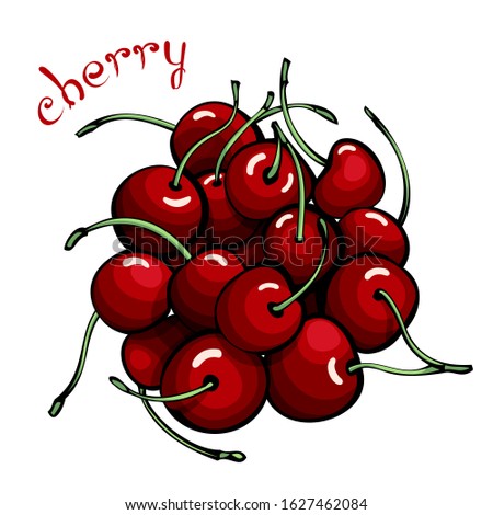 Red cherries. Composition with fresh ripe shining berries. Clip art with title. Raster illustration.