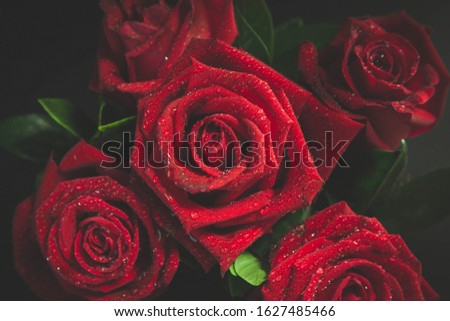 Red roses convey love for Valentine's Day.