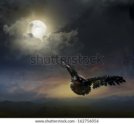 owl in the night sky. against the background of the Moon