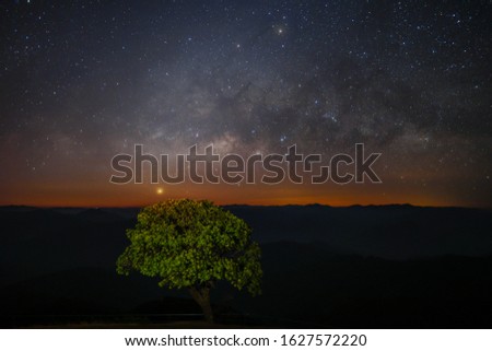 Milky way and Jupiter over the horizon and lonely green tree with stars and space dust in the universe. Image contain grains and visible noise, soft focus, and blur due to long expose and high ISO