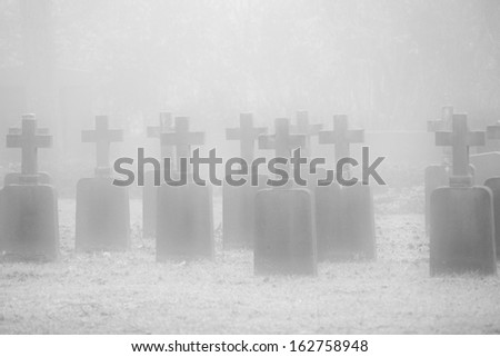 The photograph of cemetery crosses in foggy weather in the fall / cemetery crosses                