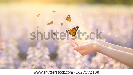 The girl frees the butterfly from the jar, golden blue moment Concept of freedom Royalty-Free Stock Photo #1627592188