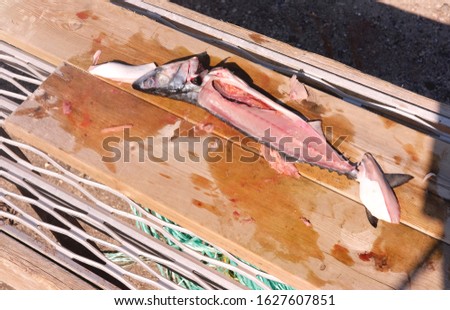 cod fish fillet on a wooden board, the theme of fish dishes and fresh seafood

