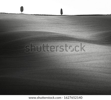 Waves of shadows and lights in Tuscany