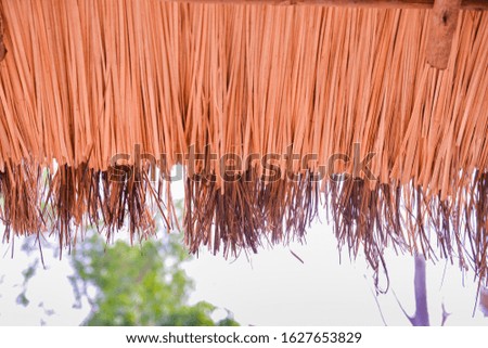 Grass or Thatch roof on white background cutout.