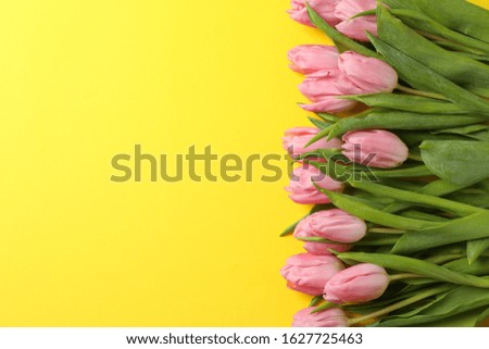 Pink tulips on yellow background, top view and space for text