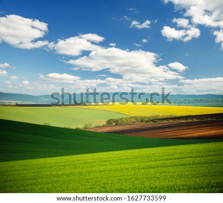 Vivid green field on the springtime and fluffy white clouds on a sunny day. Location place of Ukrainian agrarian region, Europe. Photo of ecology concept. Perfect natural wallpapers. Beauty of earth.