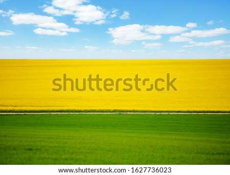 Abstract image of a spring field that is divided into colored sectors. Minimalistic landscape with 3 fragments of nature. Template textured background. Artistic painting in the style of impressionism.