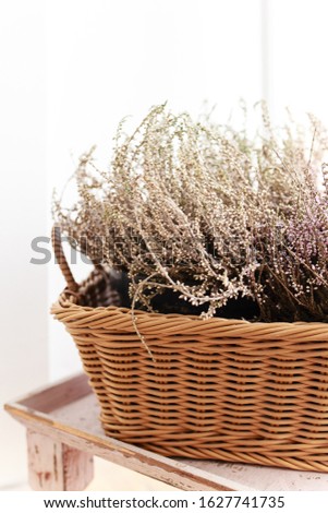 A bouquet of purple heather and lavender flowers in a wicker basket stands on a wooden windowsill against a white wall, flowers for March 8, a cozy house, macro shooting, selective focus.