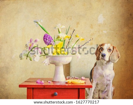 Photo of a beagle dog near a beautiful white vase with spring flowers. Styling an old photo

