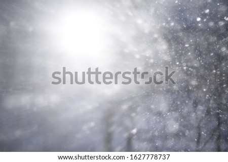 blurred background snow snowflakes texture