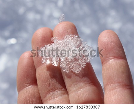 huge snowflake in hand on snow background. Macro shooting