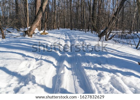 ski trail in a snowy forest, selective focus