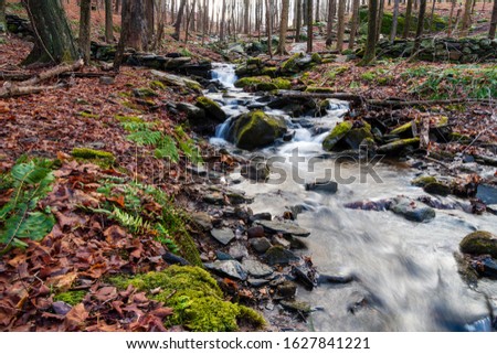 A photograph of small waterfalls and the river running through the trees