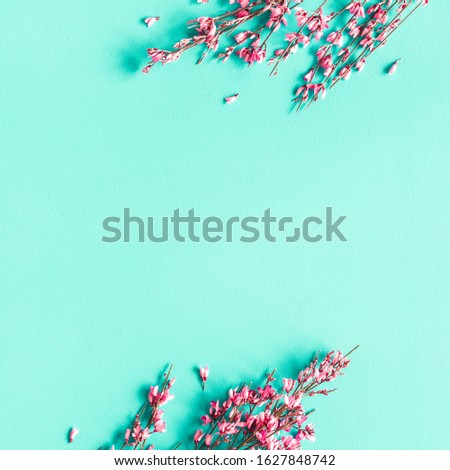 Flowers composition. Pink flowers on blue background. Flat lay, top view, copy space