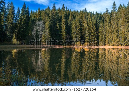 Wilderness concept. Reflections on the coniferous forest and blue sky with white clouds in a clear mountain lake water.