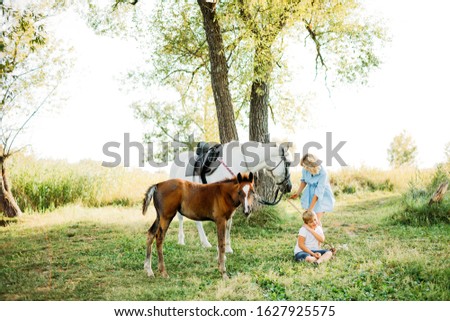Mom and son play with horses in the nature
