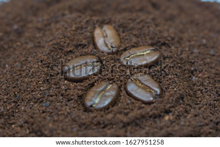 Coffee beans on a background of freshly ground coffee