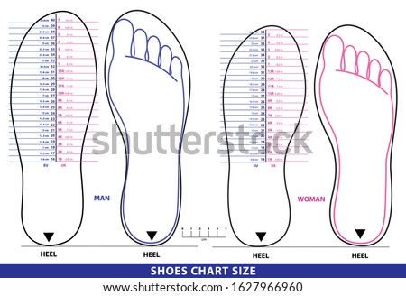 set of shoes chart size or socks chart size or measurement foot chart concept. 