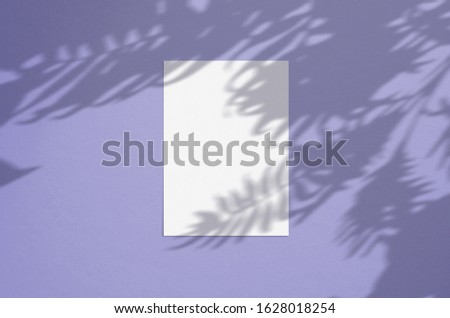 Blank white vertical paper sheet 5x7 on violet background with palm shadow overlay. Modern and stylish greeting card or wedding invitation mock up