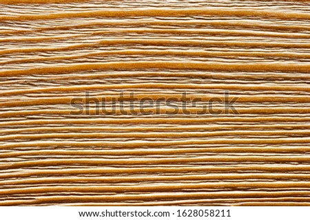 Rough brushed wood texture, fiber of larch, internal tree structure, molded board surface, macro shot