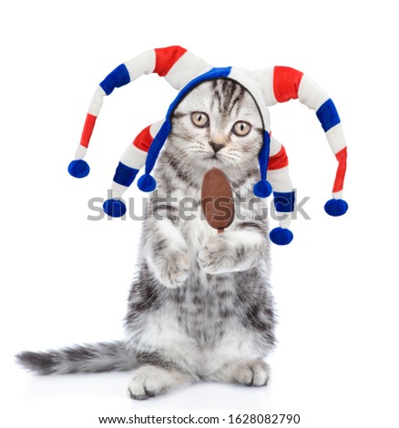 Tabby kitten dressed like a jester holds ice cream. isolated on white background.