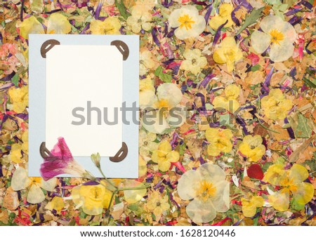 Background of fragments of broken flowers and leaves. Scrapbooking element consists mosaic of flowers, petals and frames, corners. Rustic, country style album page in scrapbook with frames for photo.