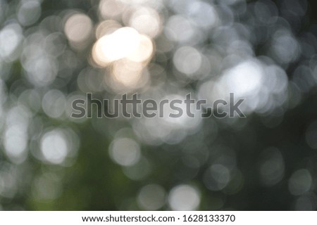 The bokeh of sunlight that shines through the leaves of the trees during the day time.