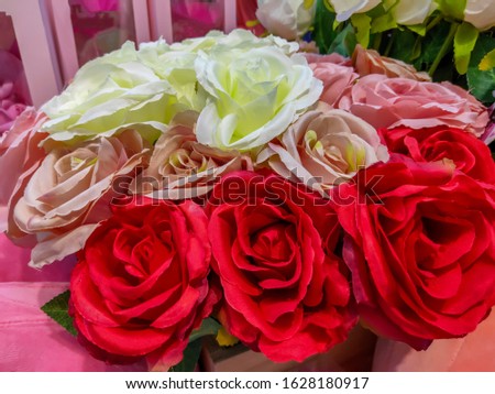 Multicolored roses and bright colored backgrounds