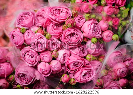 Bouquet of pink peony roses with closed green buds in the transparent wrapping paper in the blurred background in the flower shop