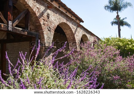 Purple Flowers and Brick Arches in the Courtyard of a Historic Spanish Mission Church in California USA During the Day