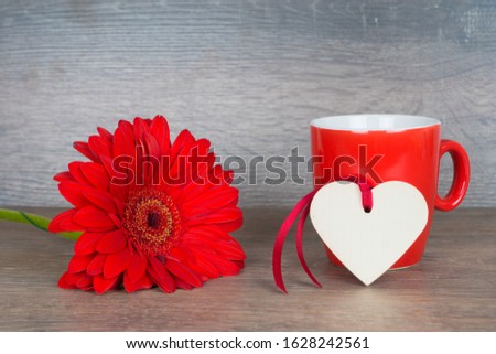 red gerbera and coffee mug with white clear wooden heart shape, valentine's day template or background