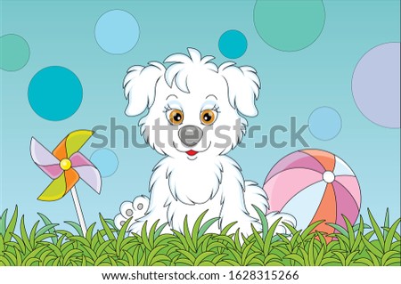 Funny little pup sitting on green grass after a game with colorful ball on a playground in a summer park, vector cartoon illustration