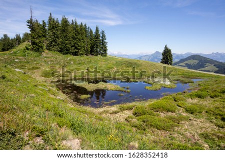 Marsh landscape at the Alps