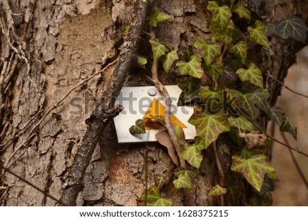 hiking trail tag, yellow triangle