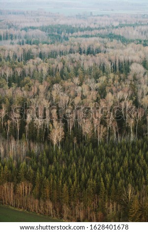 Aerial view on forest in spring colors