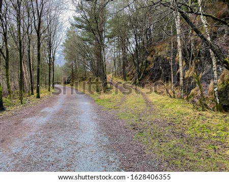 Dirt road through norwegian forest in autumn