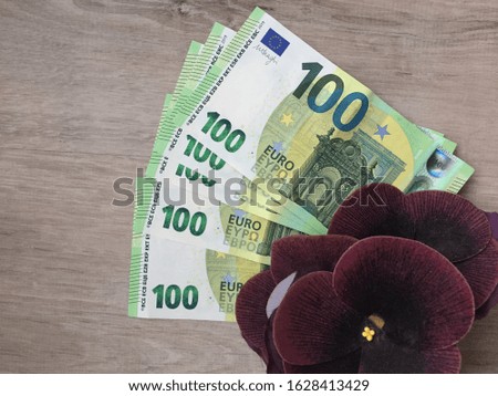 pansy flowers and five hundred euro banknotes on the wooden background