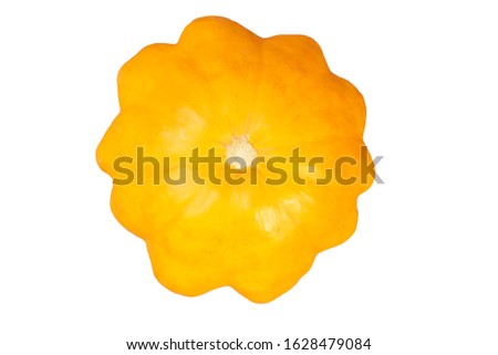 One yellow pattypan squash  isolated on white background. Scallop squash  or custard marrow.
