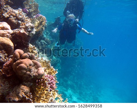 Woman scuba diver and beautiful colorful coral reef underwater.
