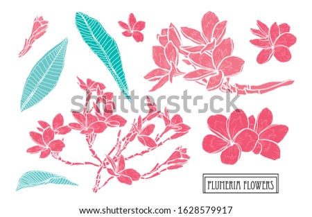 Decorative hand drawn plumeria flowers set, design elements. Can be used for cards, invitations, banners, posters, print design. Floral background in line art style