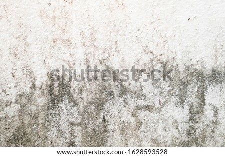 Old grunge texture background. Hi res textures and perfect background with area for copy space.