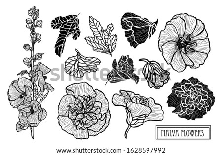 Decorative hand drawn malva flowers set, design elements. Can be used for cards, invitations, banners, posters, print design. Floral background in line art style