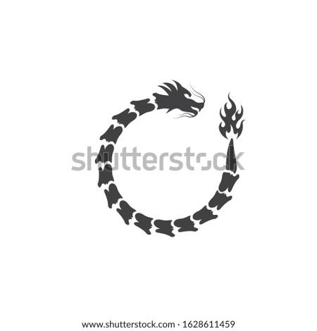 Dragon logo icon template vector illustration