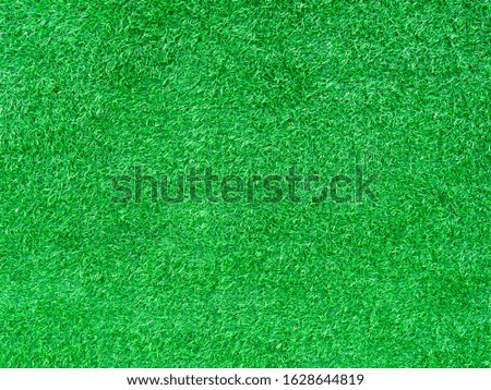 Green grass or Artificial grass texture background.