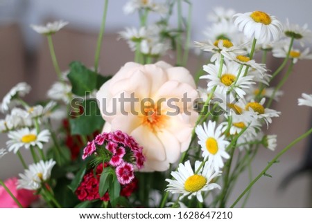Handpicked flowers from a garden, arranged in a vase. Selective focus. Royalty-Free Stock Photo #1628647210