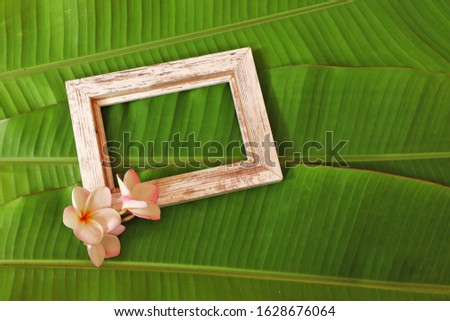 Wooden frame with plumeria flowers on banana leaves 
